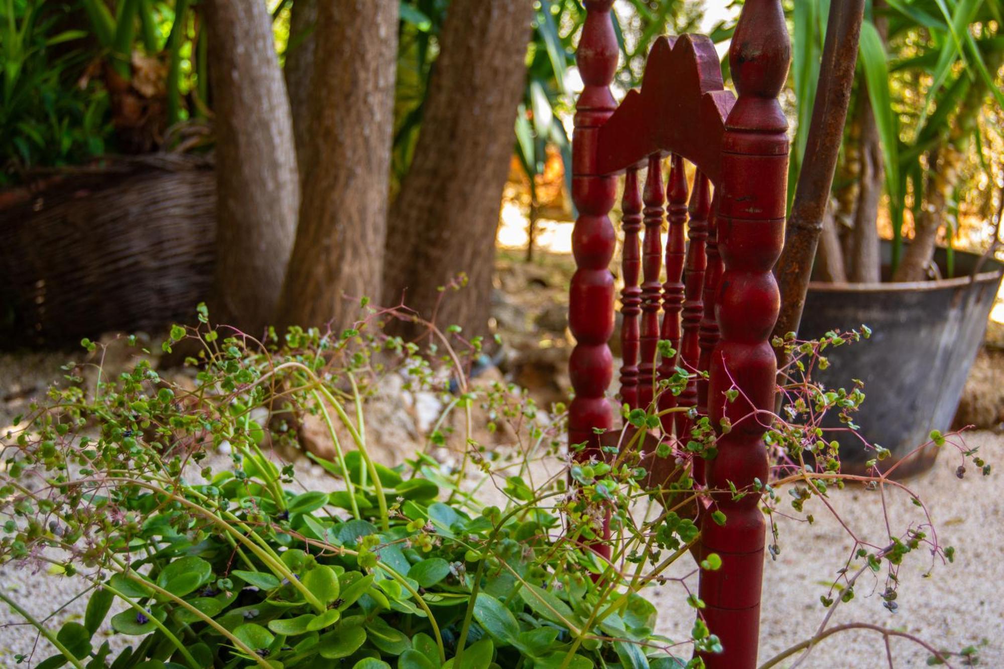 Alojamiento Rural Las Acacias Кабра Екстер'єр фото